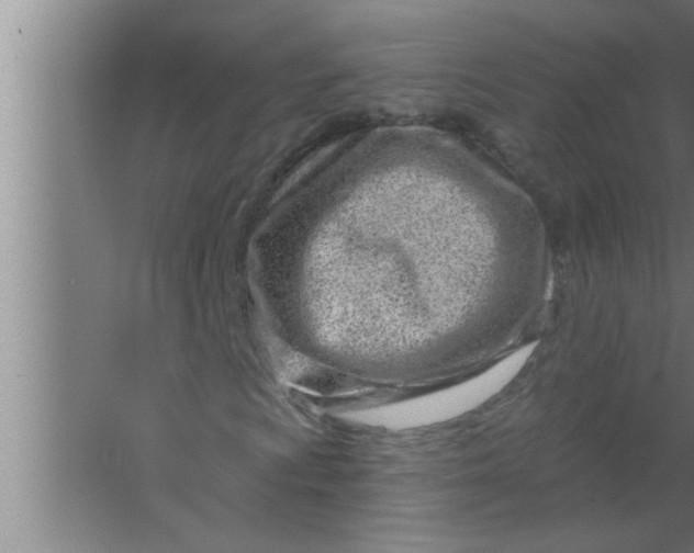 X0000063481009200602031920