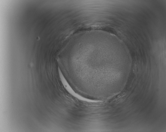 X0000063481010200602031920