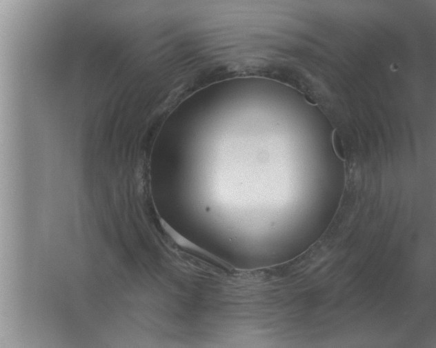 X0000063481012200602031920