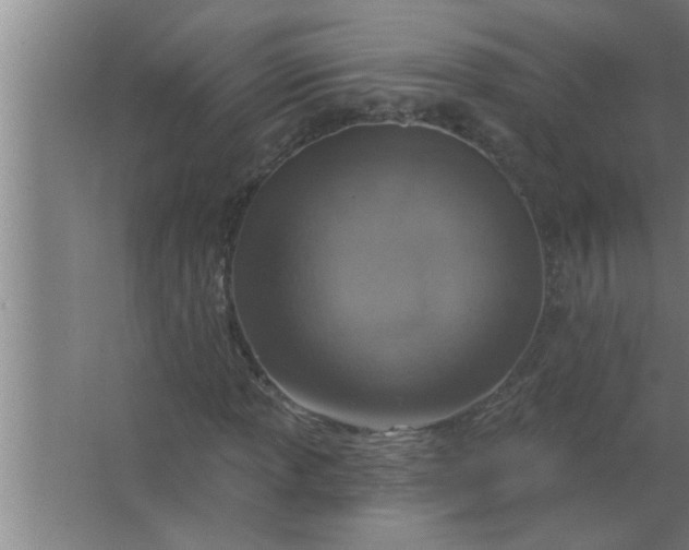 X0000063481013200602031920