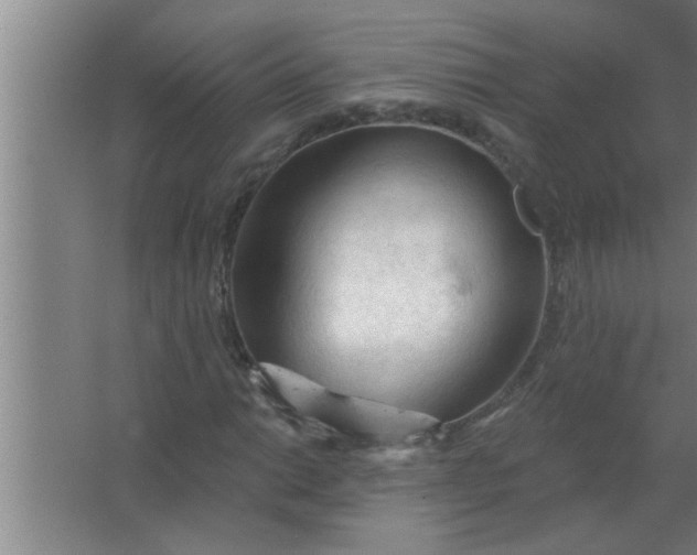 X0000063481014200602031920