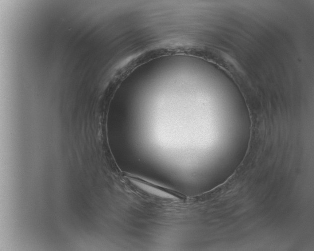 X0000063481016200602031920