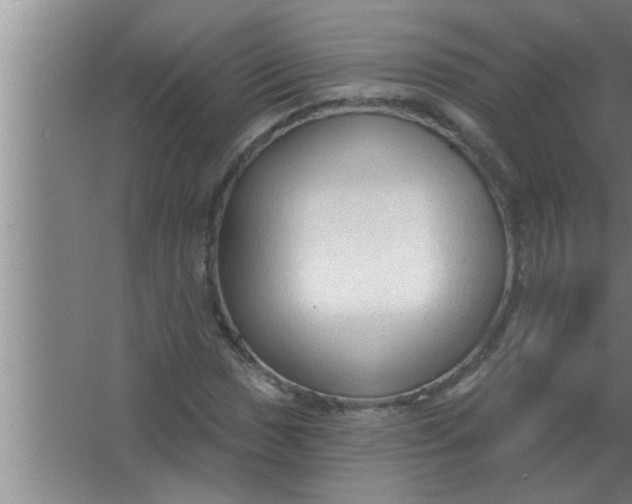 X0000063481017200602031920