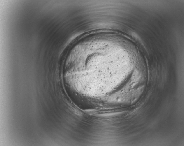 X0000063481019200602031920