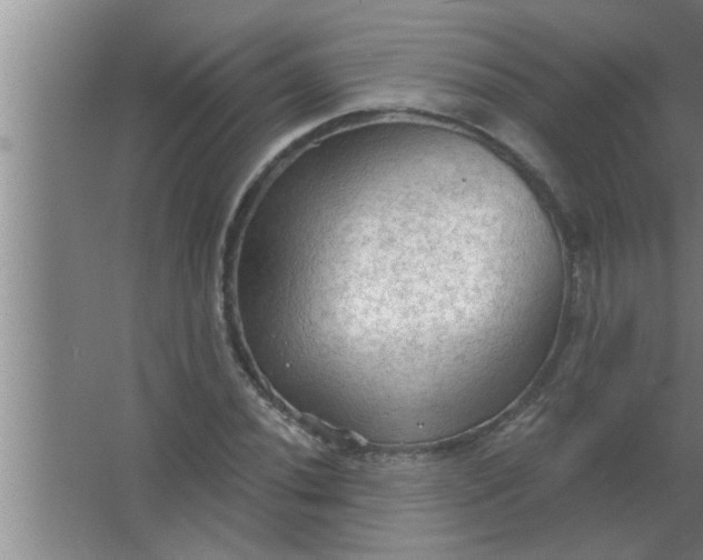 X0000063481020200602031920