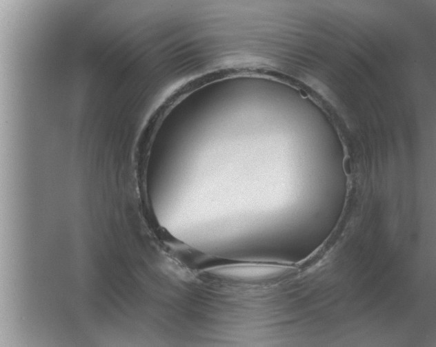 X0000063481022200602031920