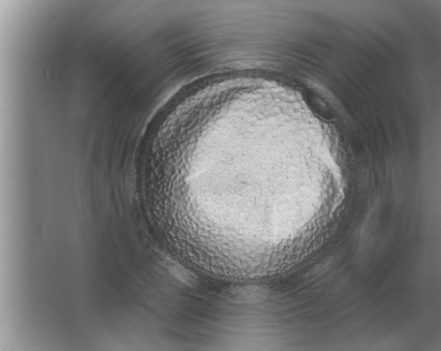 X0000063481023200602031920