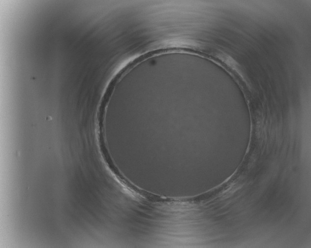 X0000063481024200602031920