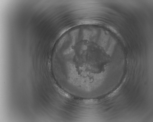 X0000063481025200602031920