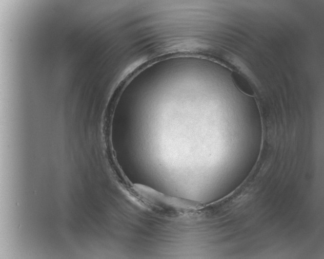 X0000063481026200602031920