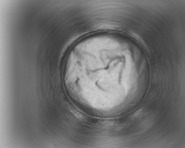 X0000063481027200602031920