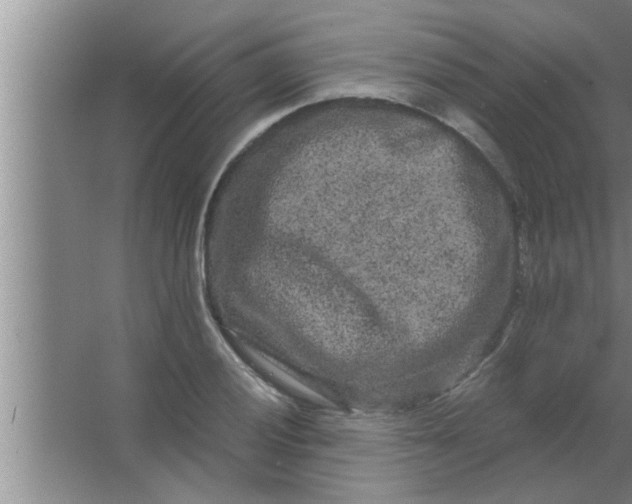 X0000063481028200602031920