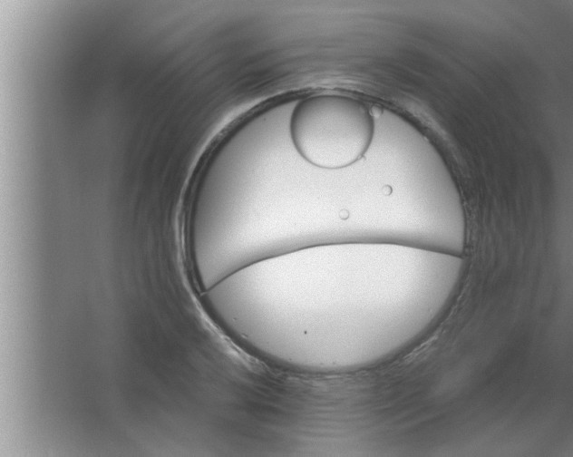 X0000063481032200602031920