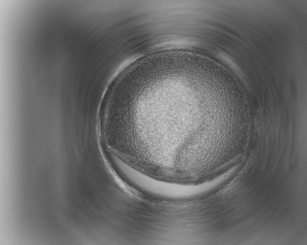 X0000063481034200602031920