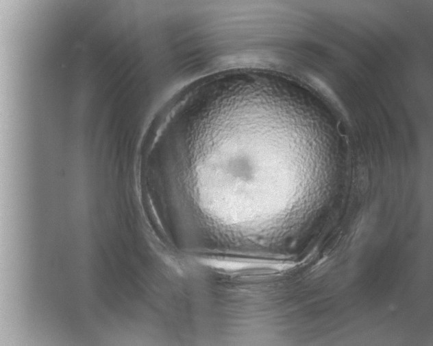 X0000063481035200602031920