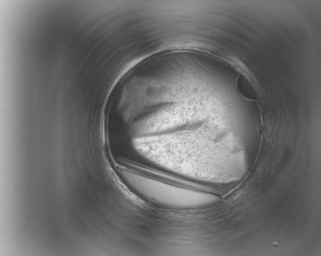 X0000063481036200602031920