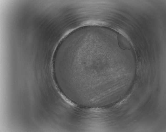 X0000063481037200602031920