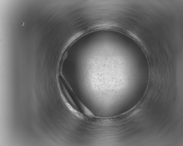 X0000063481042200602031920