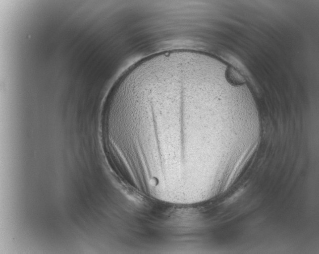 X0000063481043200602031920