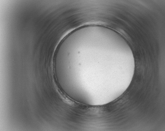 X0000063481044200602031920