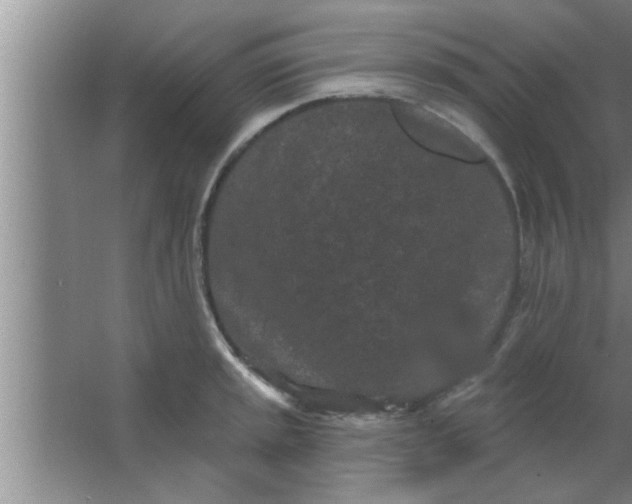 X0000063481045200602031920