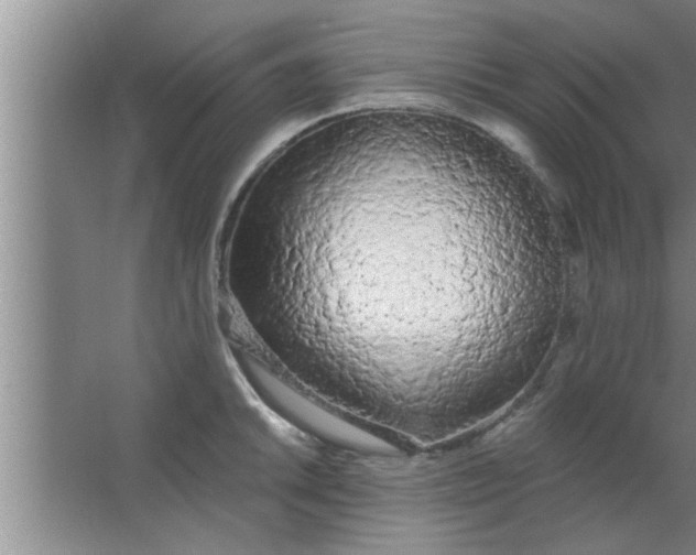 X0000063481046200602031920