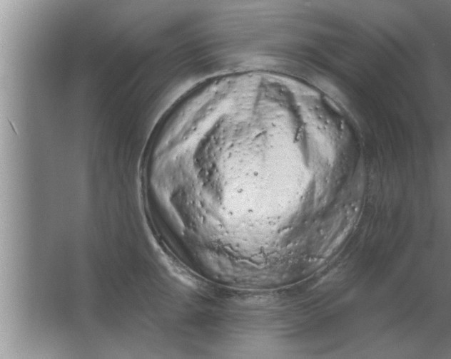 X0000063481047200602031920