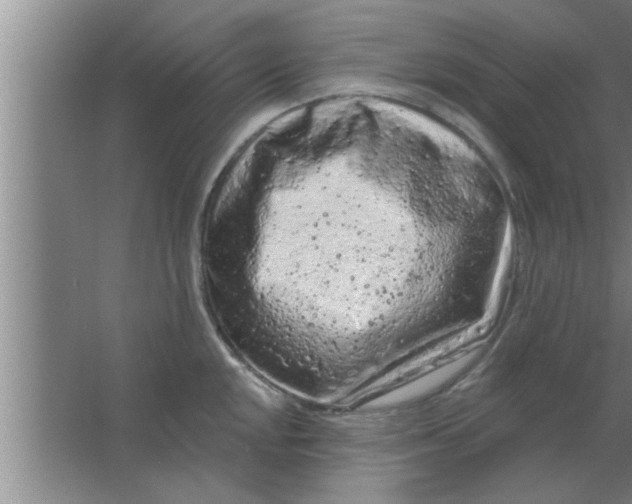 X0000063481048200602031920