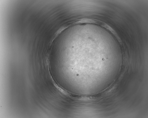 X0000063481049200602031920