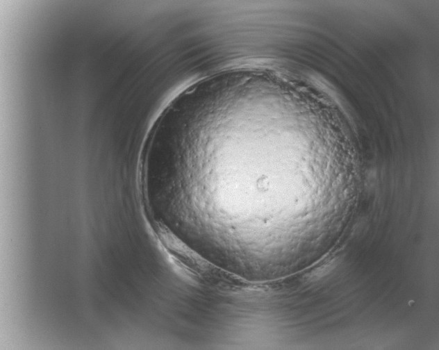 X0000063481050200602031920