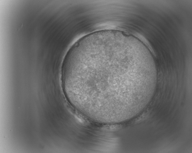 X0000063481051200602031920