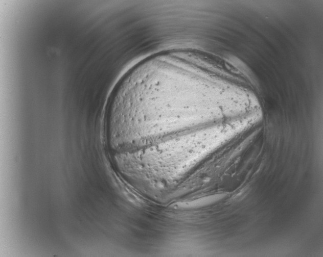 X0000063481052200602031921