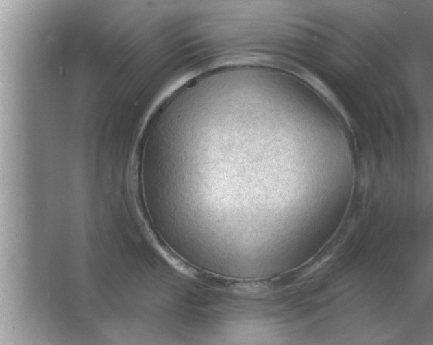 X0000063481053200602031921