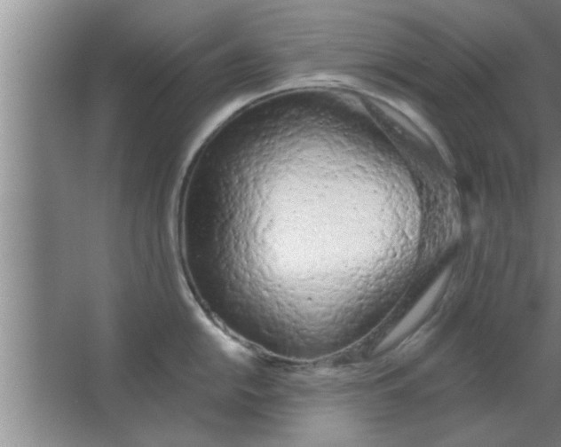 X0000063481054200602031921