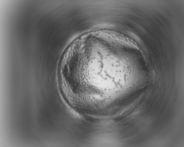 X0000063481055200602031921