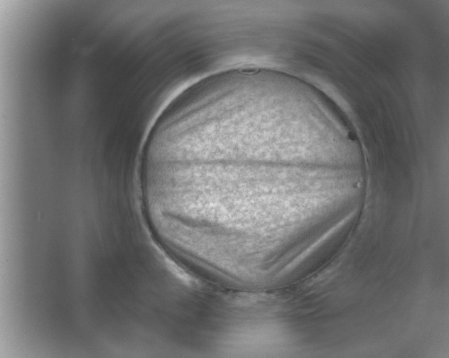 X0000063481056200602031921