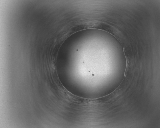 X0000063481058200602031920