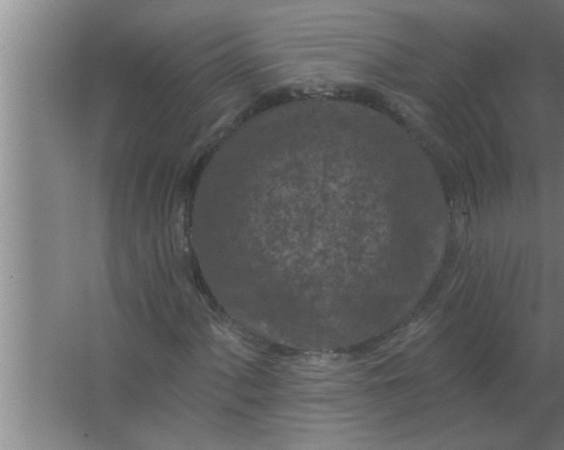 X0000063481060200602031920