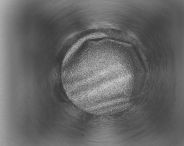 X0000063481063200602031920