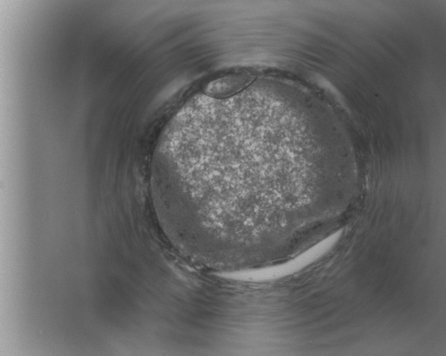 X0000063481064200602031920