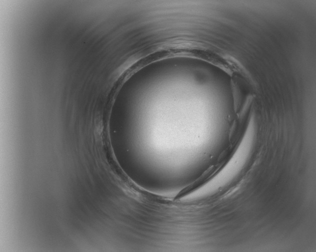 X0000063481065200602031920