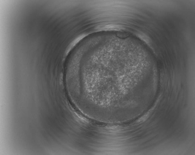 X0000063481066200602031920