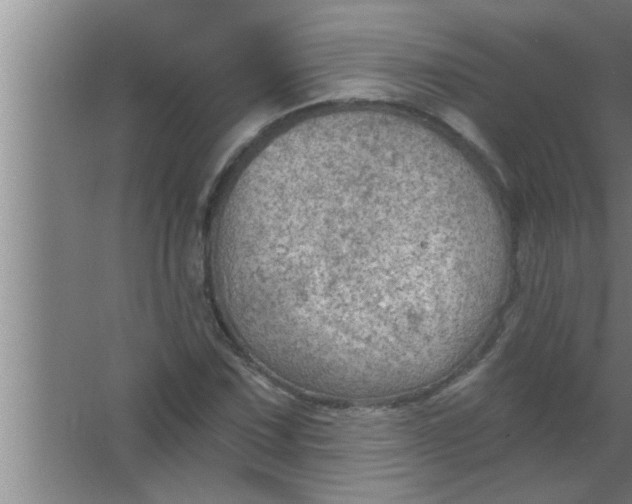 X0000063481067200602031920