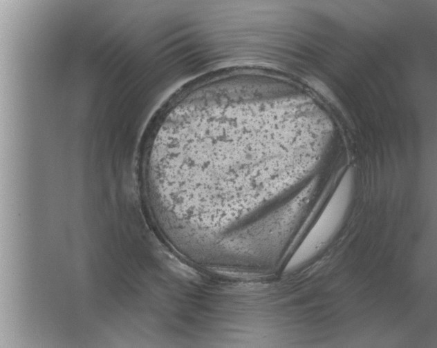 X0000063481068200602031920