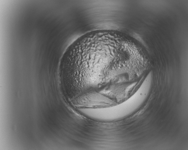 X0000063481071200602031920