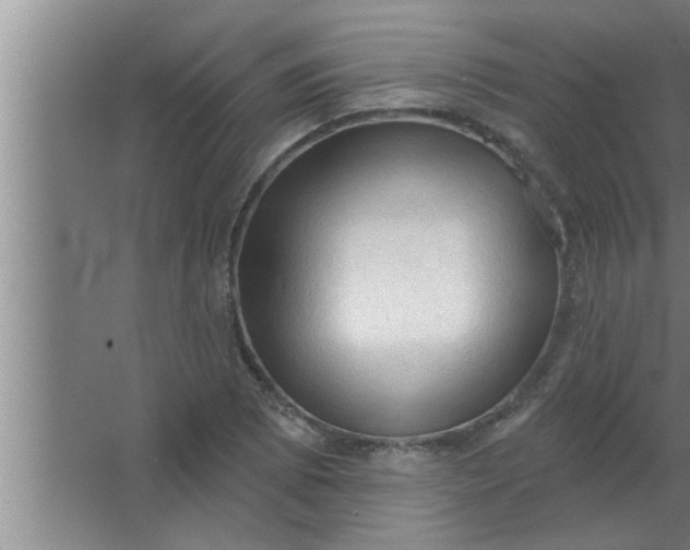 X0000063481073200602031919