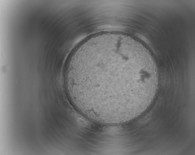 X0000063481074200602031919