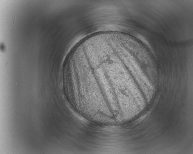 X0000063481075200602031919