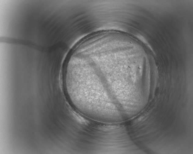 X0000063481076200602031919