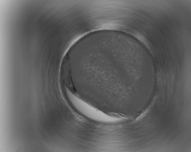 X0000063481077200602031919